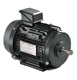 ĐỘNG CƠ MOTOR TOSHIBA IE3 CAO CẤP